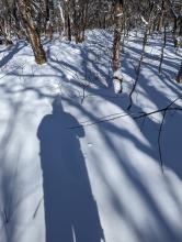 Trail to Sherill