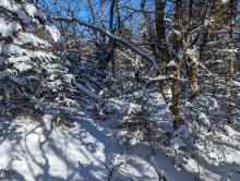 Trail to Sherill