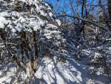 Trail to Sherill