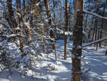 Trail to Sherill