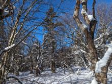 Trail to Sherill