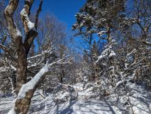 Trail to Sherill