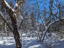 Trail to Sherill