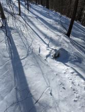 Trail to Sherill