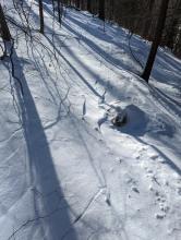 Trail to Sherill