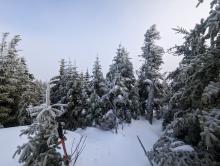View from Sawteeth