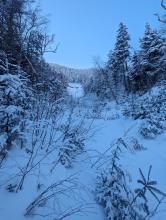 Beaver Meadows Trail