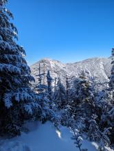 Beaver Meadows Trail