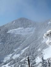 Beaver Meadows Trail