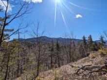 View from Baxter