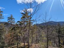 View from Baxter