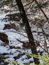 Gill Brook