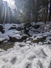 Gill Brook