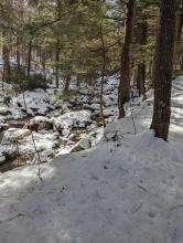 Gill Brook