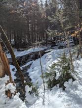 Gill Brook