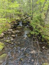 Trail to Vanderwacker