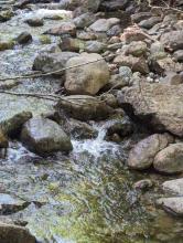 Hike to Avalanche Lake