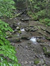 Diamond Notch Falls