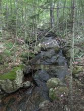 Trail to Loon Mountain