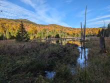 Pond below Mt. Vanhovenberg