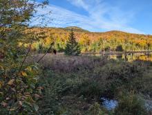 Pond below Mt. Vanhovenberg