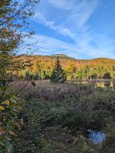 Pond below Mt. Vanhovenberg