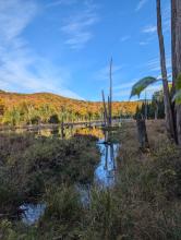 Pond below Mt. Vanhovenberg