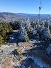 View from Blue Mountain