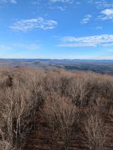 View from Azure Mountain