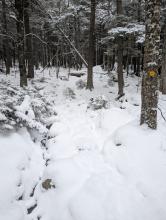Trail up RoosterComb