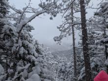 View from trail up RoosterComb