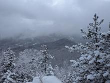 View from RoosterComb