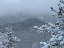 View from RoosterComb