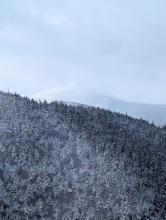 View from RoosterComb - Marcy