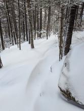 Trail to Roostercomb - snow drifts