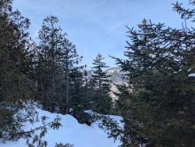 View from Noonmark