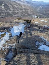 Top of Noonmark