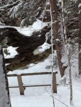 Canyon Bridge - East Branch Ausable River