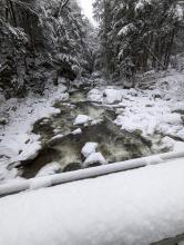 Canyon Bridge - East Branch Ausable River