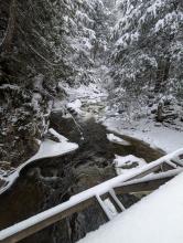 Canyon Bridge - East Branch Ausable River