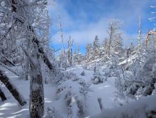 Trail up Dial and Nippletop