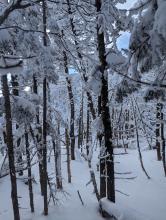 Trail up Dial and Nippletop