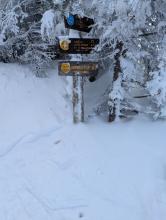 Trail to Dial and Nippletop