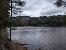 Crane Pond