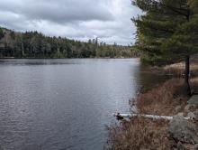 Crane Pond