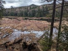 Glidden Marsh