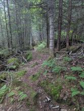Elk Lake - Marcy trail