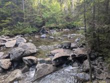 Panther Gorge