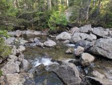 Panther Gorge