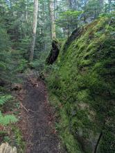 Elk Lake - Marcy trail